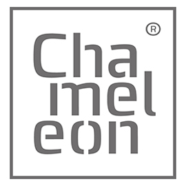 Chameleon Writing