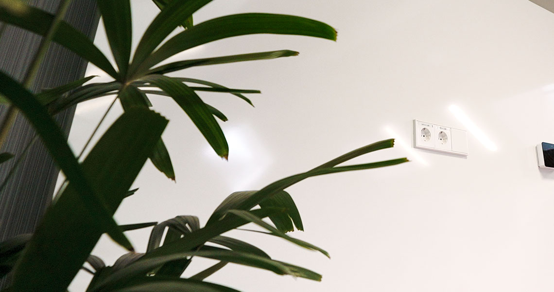 Close-up of foliage beside a custom whiteboard wall installation