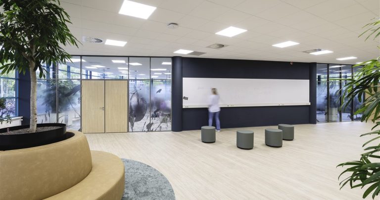 Framed whiteboard wall panel on a dark accent wall in an education breakout lounge with plants and curved seating
