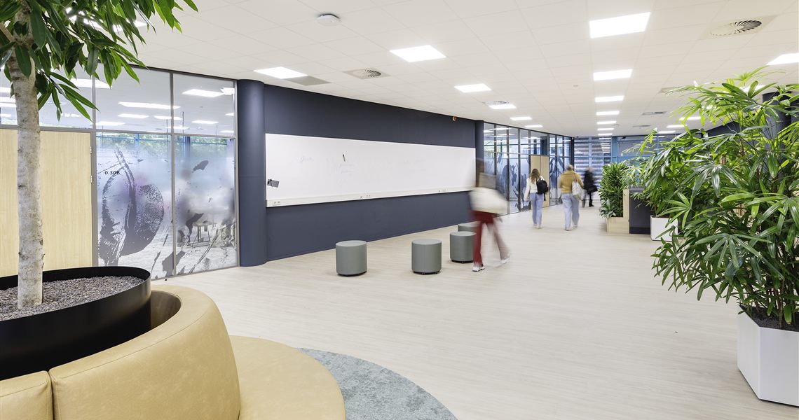 Whiteboard wall spanning a dark accent wall in a busy education corridor with students walking past